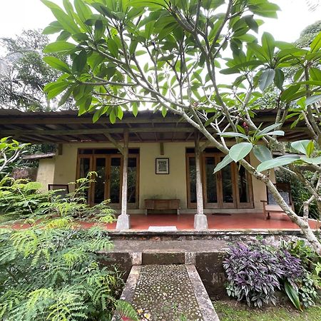 Carik Tangis Boutique Homestay Jatiluwih Exterior photo