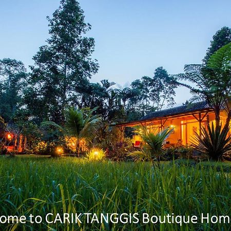 Carik Tangis Boutique Homestay Jatiluwih Exterior photo