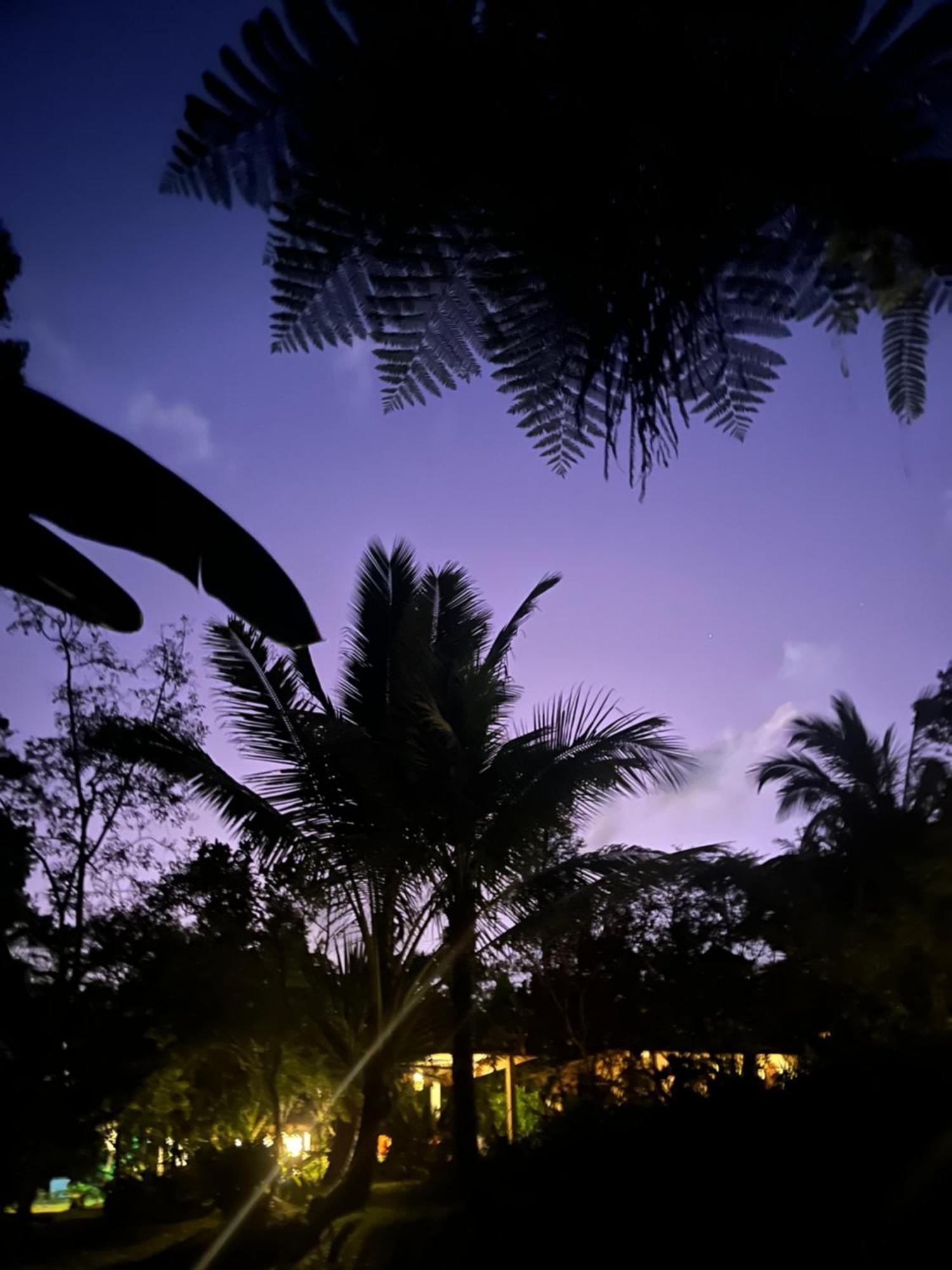 Carik Tangis Boutique Homestay Jatiluwih Exterior photo