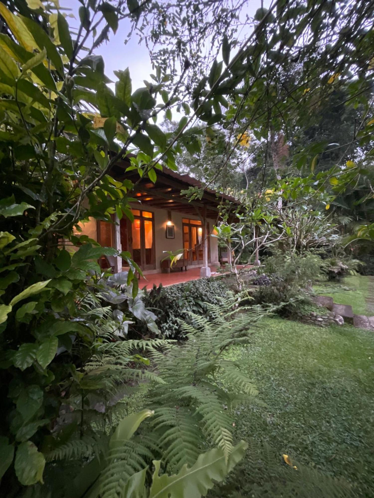 Carik Tangis Boutique Homestay Jatiluwih Exterior photo