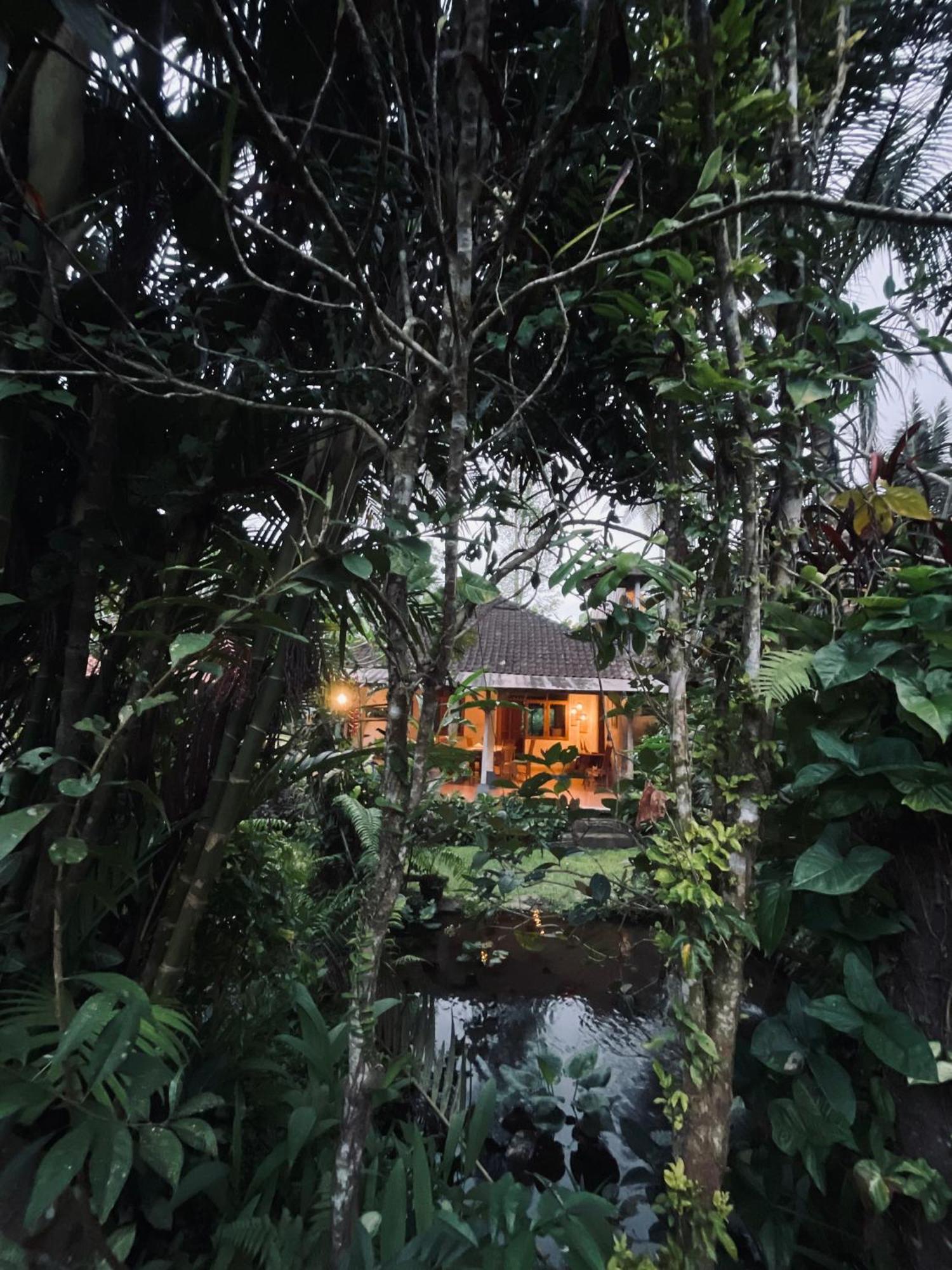 Carik Tangis Boutique Homestay Jatiluwih Exterior photo