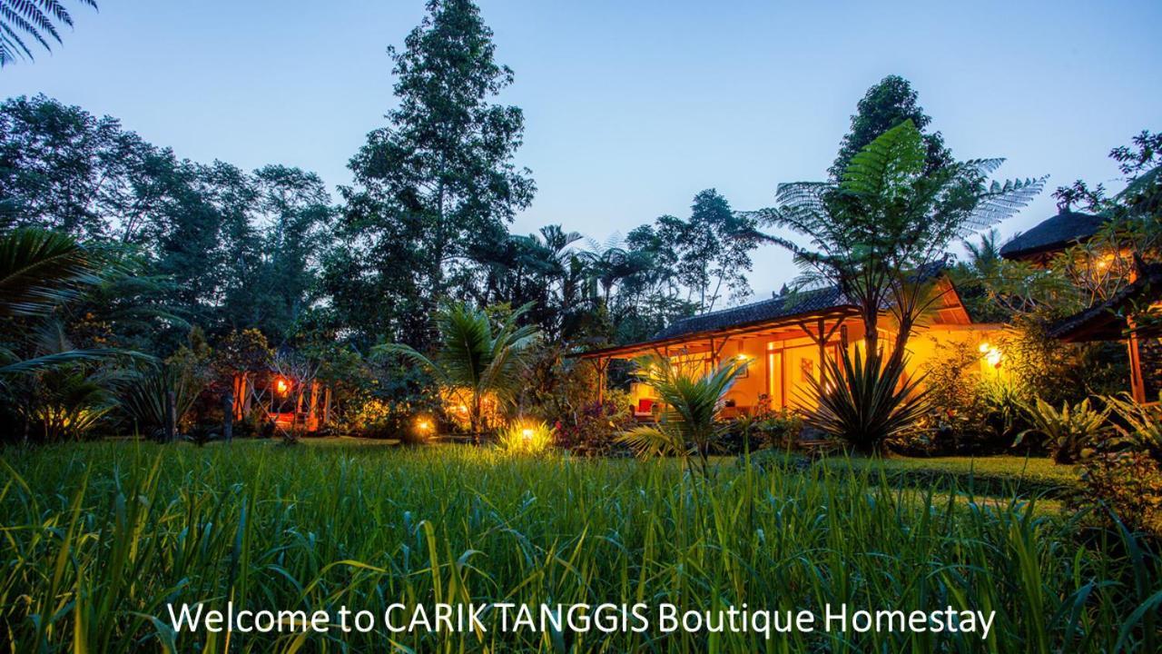Carik Tangis Boutique Homestay Jatiluwih Exterior photo